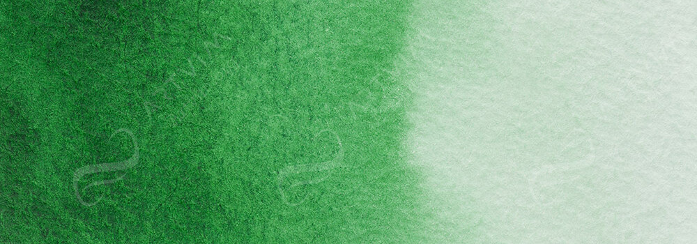 JACKSON'S : ARTIST WATERCOLOUR PAINT HOOKER'S GREEN