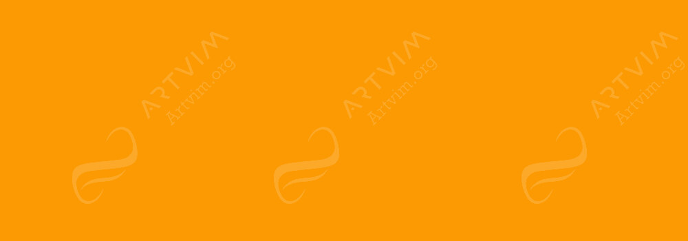 CARAN D'ACHE : NEOCOLOR II ARTISTS' WATERCOLOUR CRAYONS FAST ORANGE