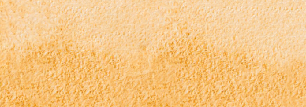 CARAN D'ACHE : MUSEUM AQUARELLE PENCILS RAW SIENNA