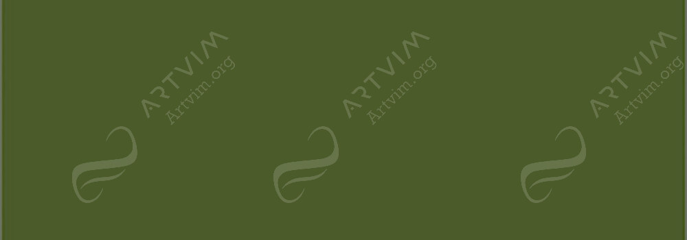 CARAN D'ACHE : PABLO PENCILS OLIVE GRAY 018