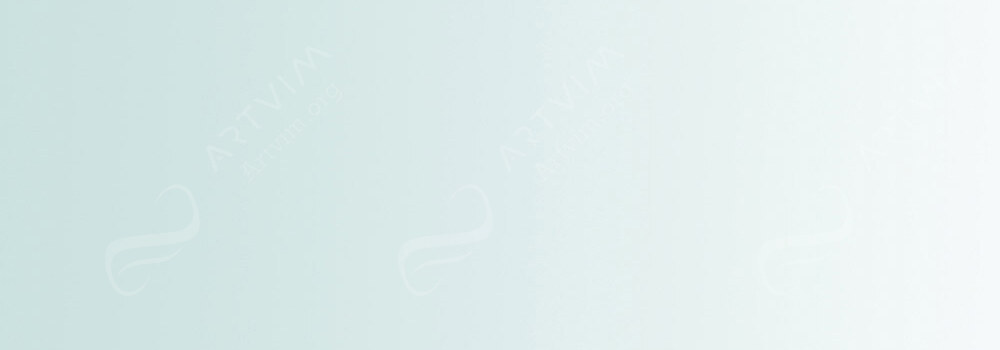 DERWENT : WATERCOLOUR PENCILS SILVER GREY