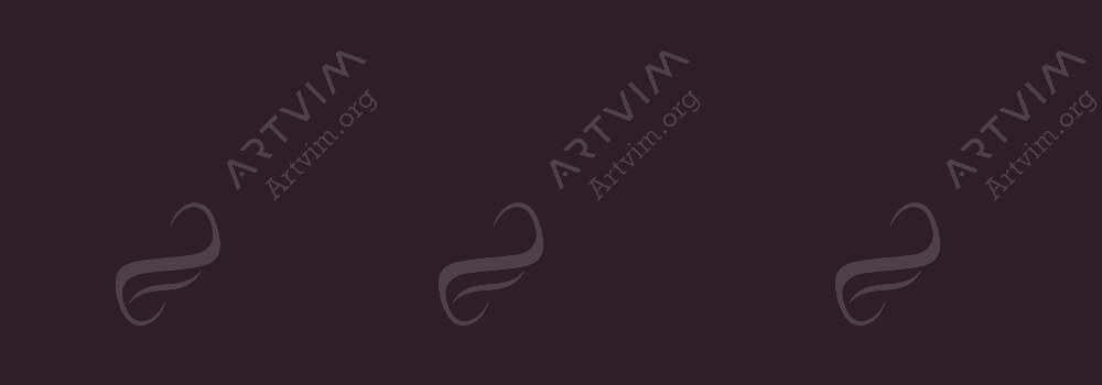 CARAN D'ACHE : PABLO PENCILS CHARCOAL GRAY 409