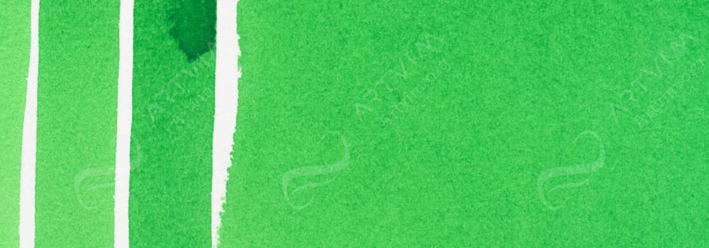 DANIEL SMITH : EXTRA FINE WATERCOLOUR PAINT PERMANENT GREEN LIGHT