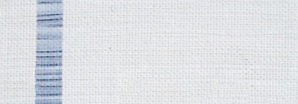 ARA : ACRYLIC PAINT ZINC WHITE