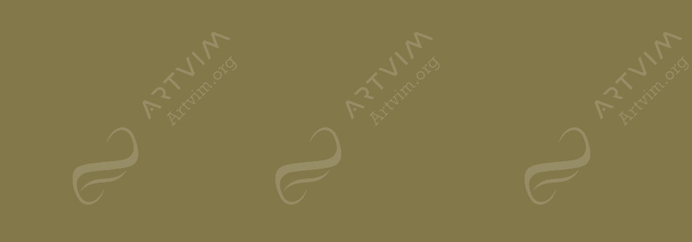 CARAN D'ACHE : LUMINANCE COLOUR PENCILS OLIVE BROWN 50%