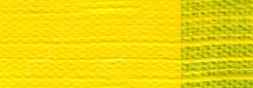 GOLDEN : HEAVY BODY ACRYLIC PAINT HANSA YELLOW OPAQUE