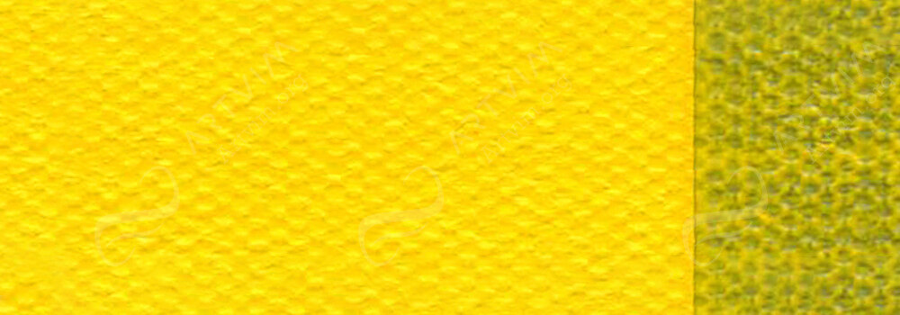 GOLDEN : FLUID ACRYLIC PAINT CADMIUM YELLOW MEDIUM HUE