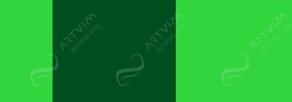 GOLDEN : HEAVY BODY ACRYLIC PAINT FLUORESCENT GREEN